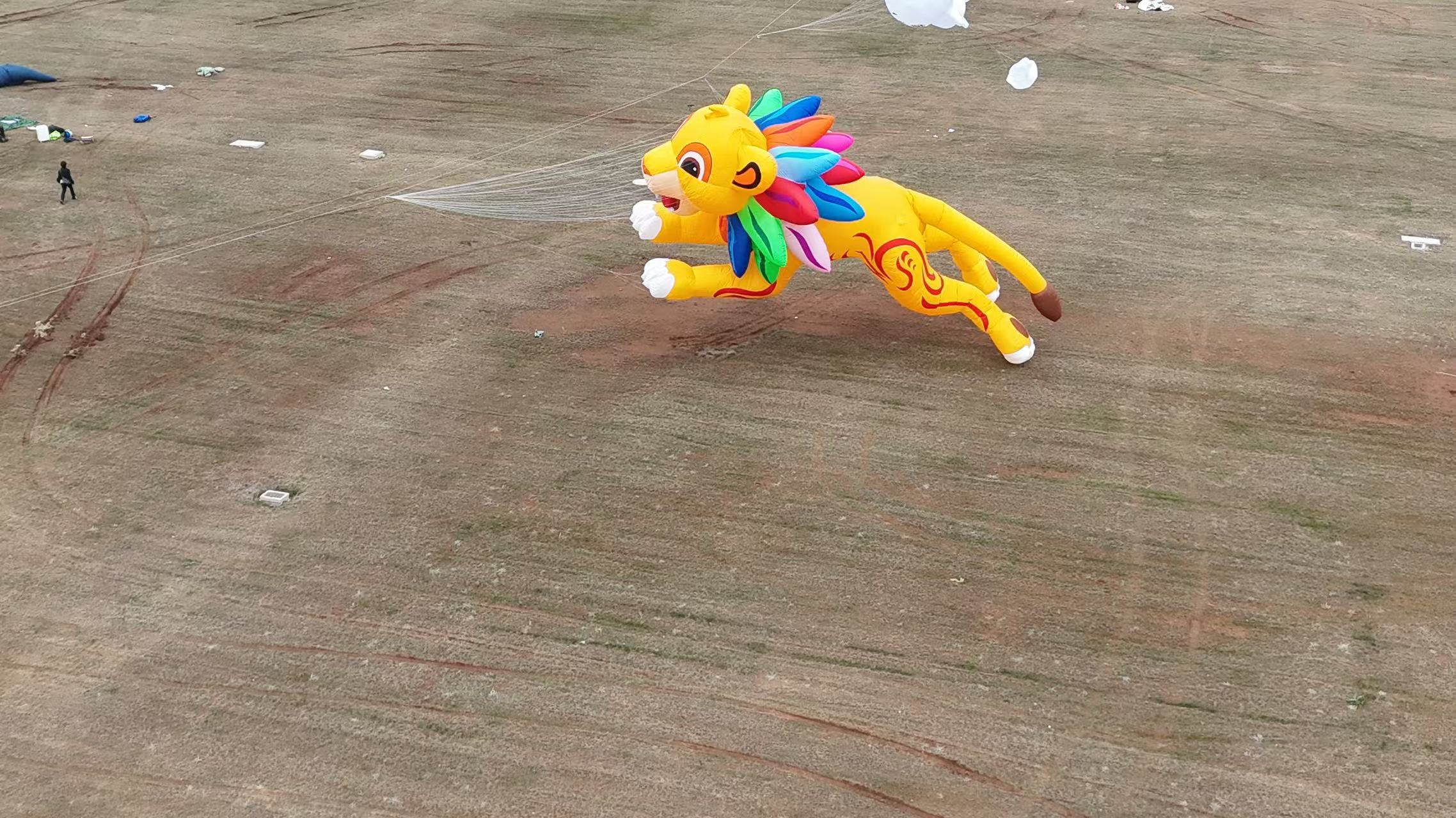 聊城市品牌风筝定制风筝批发 - 哪里好
