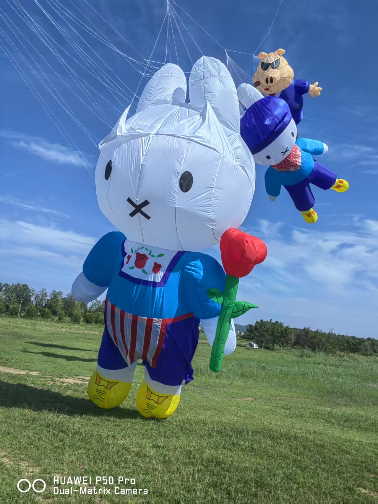聊城市儿童风筝定制风筝批发 - 厂家