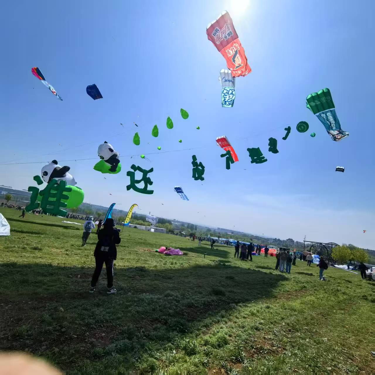 聊城市宣传风筝定制风筝定制 - 哪里好
